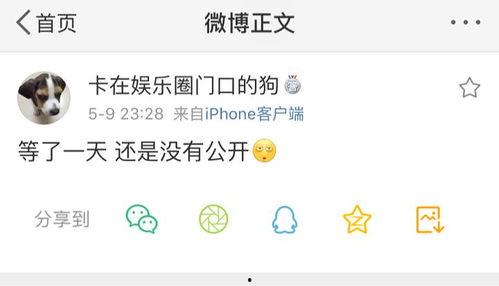 it爆料吃瓜说球,吃瓜说球，揭秘娱乐圈与体育圈的跨界风云